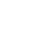 Joan Lluis Coach
